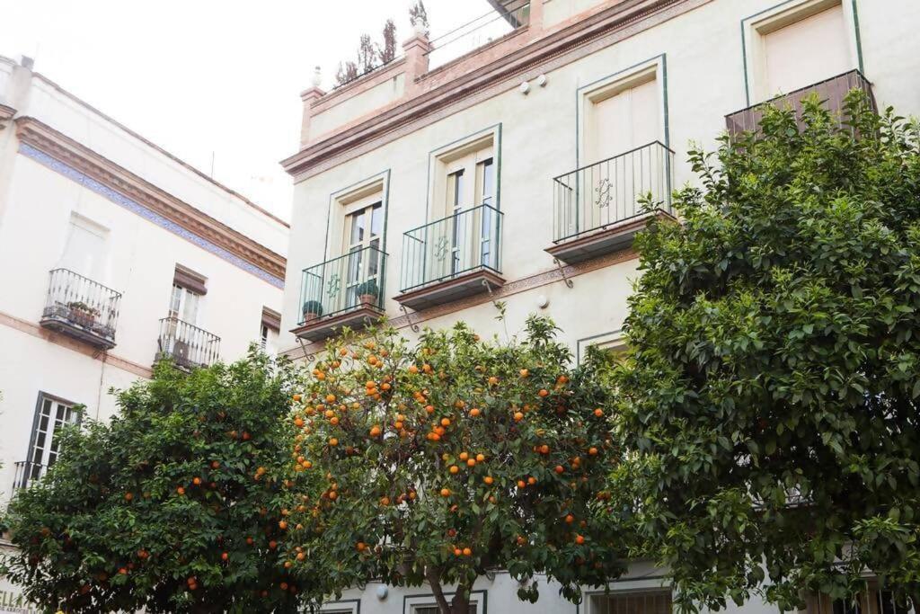 San Julian Duplex * Sevilla